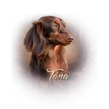 iko tana
